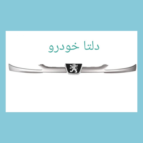 جلو پنجره پژو ۲۰۶ برند دلتا خودرو