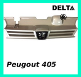 جلو پنجره پژو ۴۰۵ رنگ بژ برند دلتا خودرو